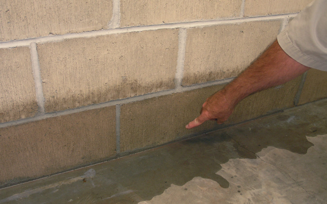 Basement Retaining and Cellar Leakage Services